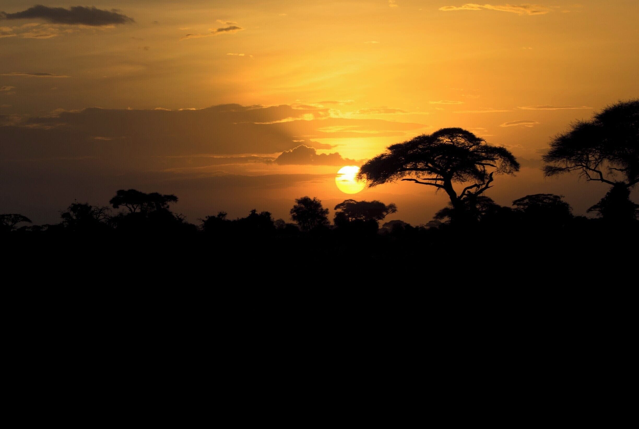 A sunset with a silhouette of a tree and a mountain range in the background.