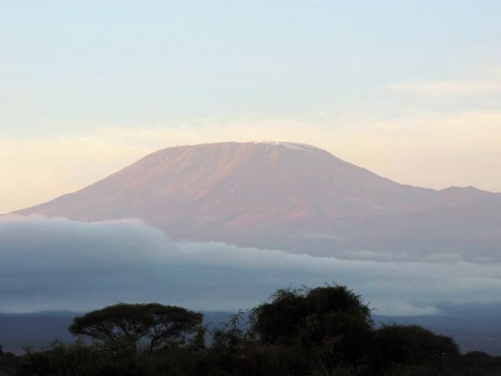 shot of Mount Kilimanjaro, early morning for best viewing
www.surfseayouandme.com
#nationalpark