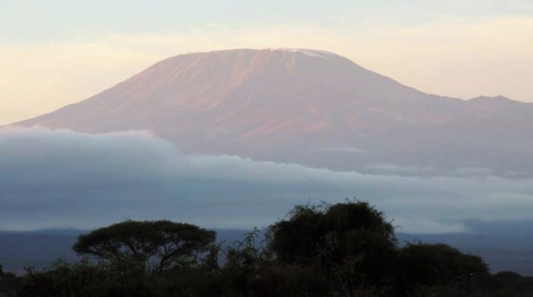 shot of Mount Kilimanjaro, early morning for best viewing
www.surfseayouandme.com
#nationalpark