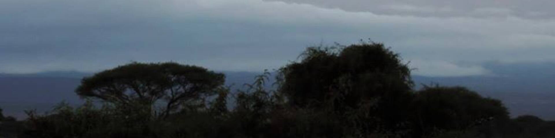A mountain with a cloud base, surrounded by trees.
