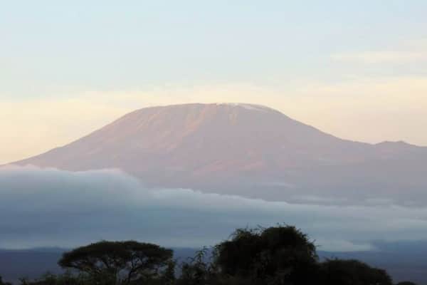 Une montagne dont le sommet est enveloppé de nuages, entourée d’arbres.