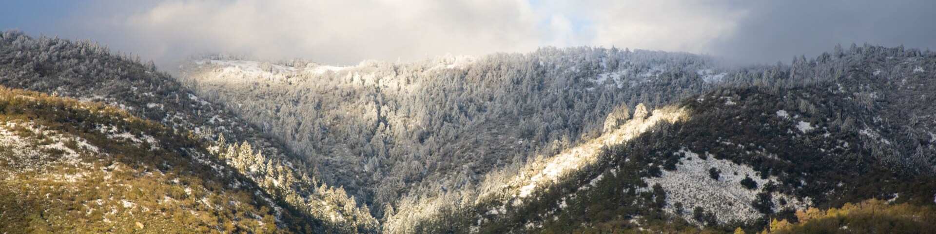 Un valle con laderas nevadas y un paisaje boscoso.