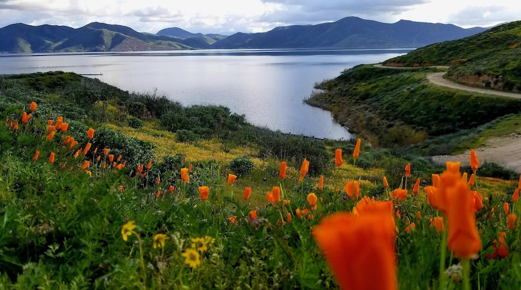 Panoramic shot of Diamond Valley Lake Visitors Center in California, USA
