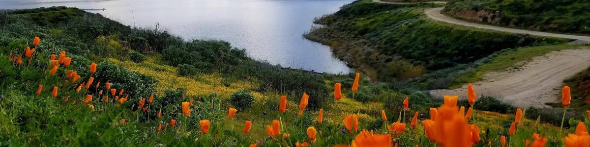 Panoramic shot of Diamond Valley Lake Visitors Center in California, USA