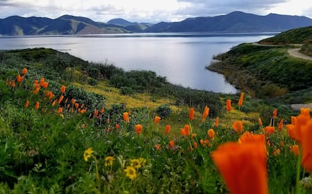 Top 10 Hotels in Valley Center, CA from $62 - Compare prices by ...
