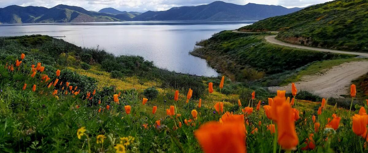 Panoramic shot of Diamond Valley Lake Visitors Center in California, USA