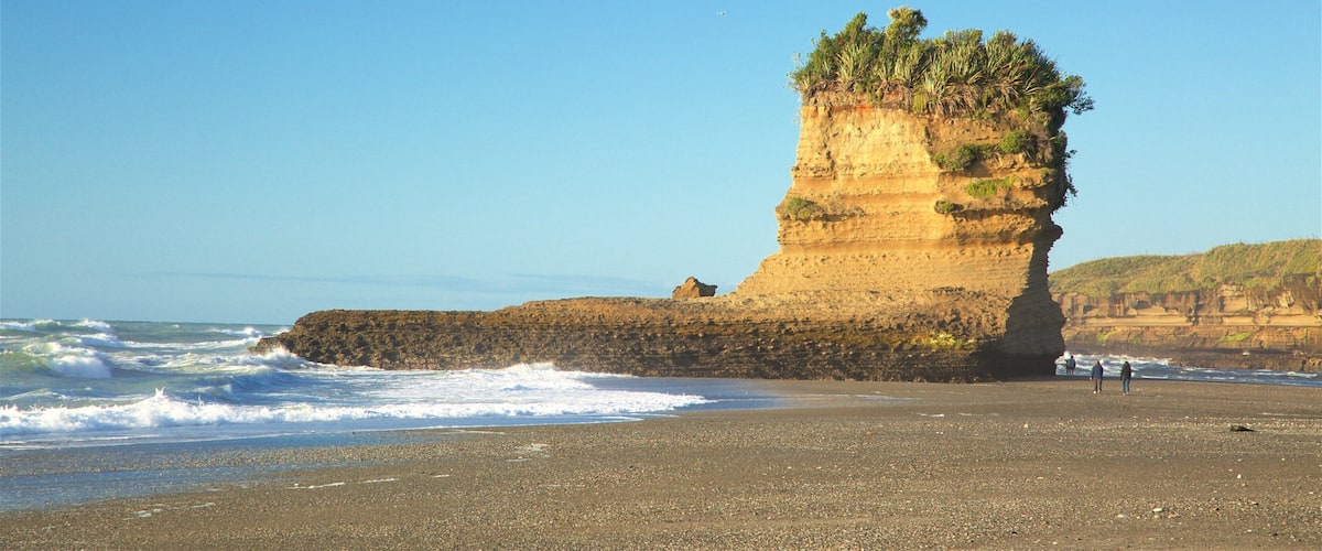 ํธ๋์นด์ดํค ์ด ํฌํจ ์กฐ์ฝ๋ ํด๋ณ, ์ํ ๊ณผ ์ผ๋ฐ ํด์ ์ ๊ฒฝ