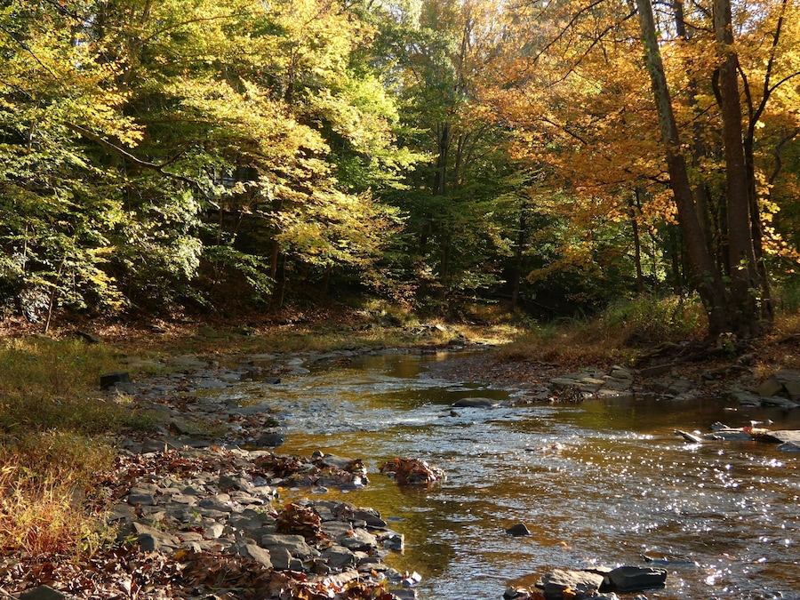 River between trees with colorful autumn leaves, Jacobs Creek, Ewing, New Jersey, USA