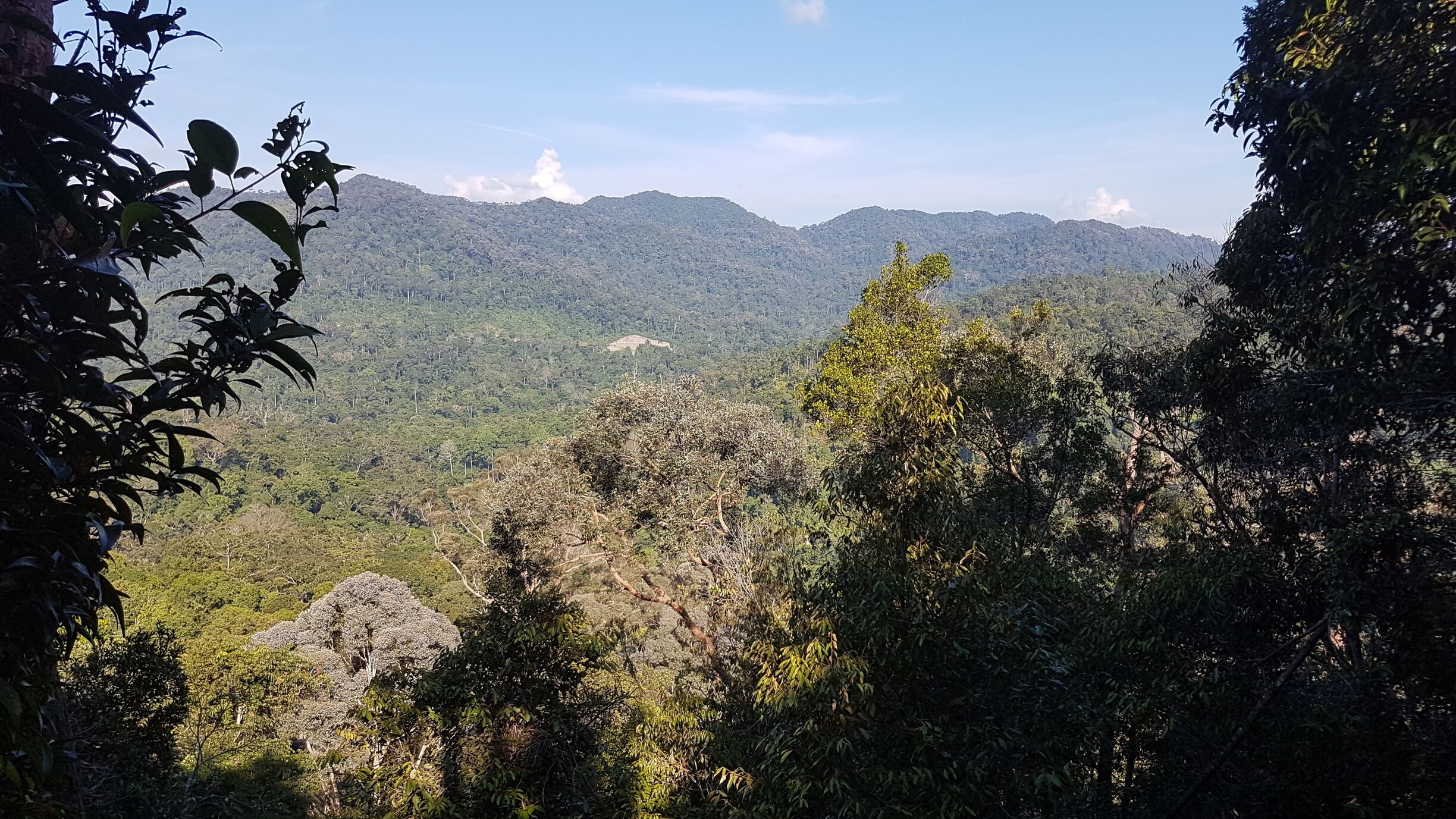 Beautiful city skyline #minneapolis #minnesota #midwest #city #skyline #stonearchbridge #bridge #river