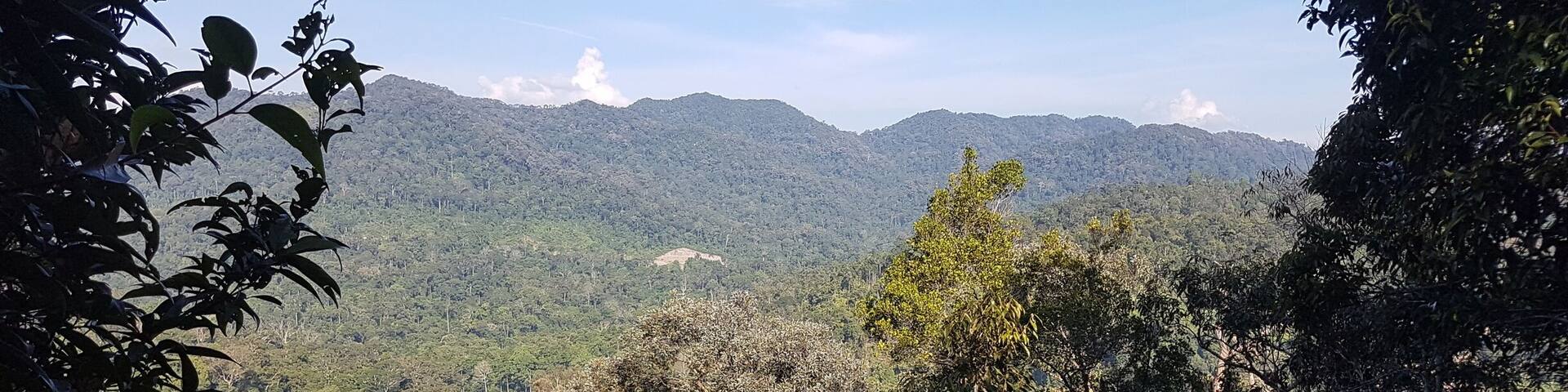 Beautiful city skyline #minneapolis #minnesota #midwest #city #skyline #stonearchbridge #bridge #river