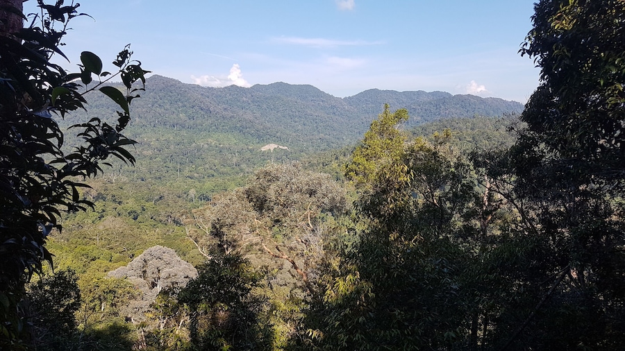 Un paisaje montañoso con bosque denso y afloramientos rocosos.