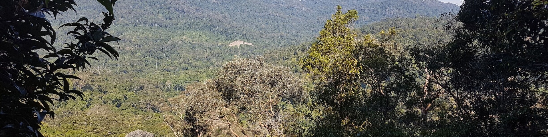 Beautiful city skyline #minneapolis #minnesota #midwest #city #skyline #stonearchbridge #bridge #river