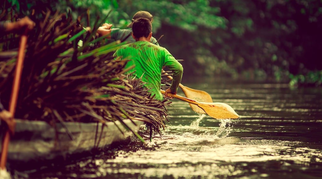 Canoes in the Yasuni national park Ecuador, carring straw plant