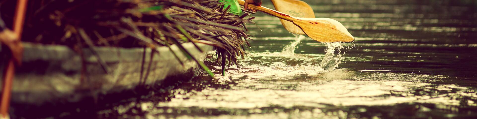 Canoes in the Yasuni national park Ecuador, carring straw plant