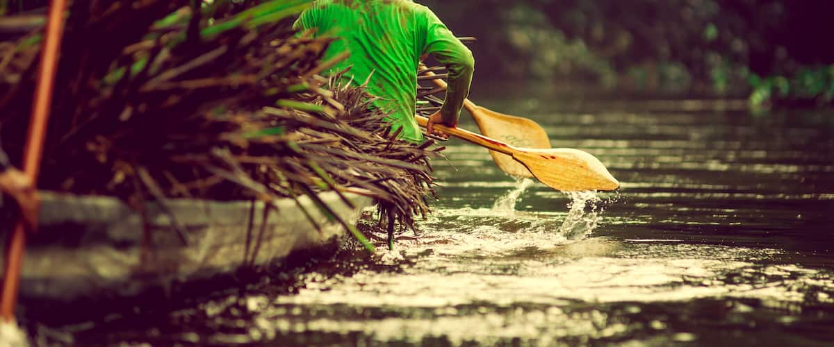 A person paddling a canoe through a river surrounded by dense greenery.