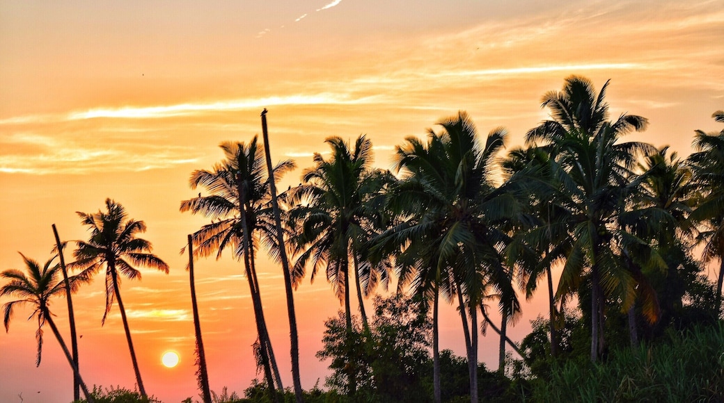 If you ever get a chance to experience the backwaters of Kerala , go for it blindfolded as you won't know what surprise is in store for you . This one is not a painting !
#bruisedpassports #sunset