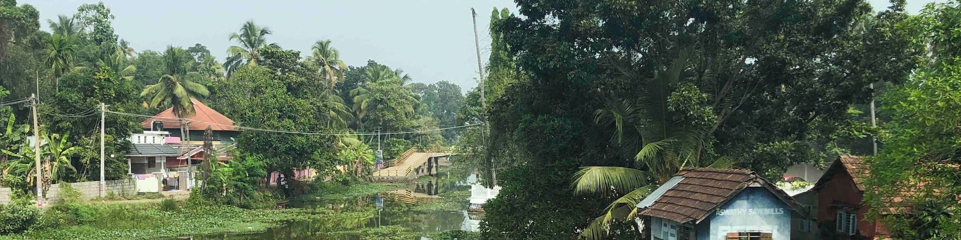 The drive from the beaches to the mountains is about 4 hours. It is dotted with small picturesque villages. The landscape and the fauna changes from palm trees to rubber to spice & tea gardens.