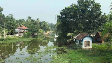 The drive from the beaches to the mountains is about 4 hours. It is dotted with small picturesque villages. The landscape and the fauna changes from palm trees to rubber to spice & tea gardens.