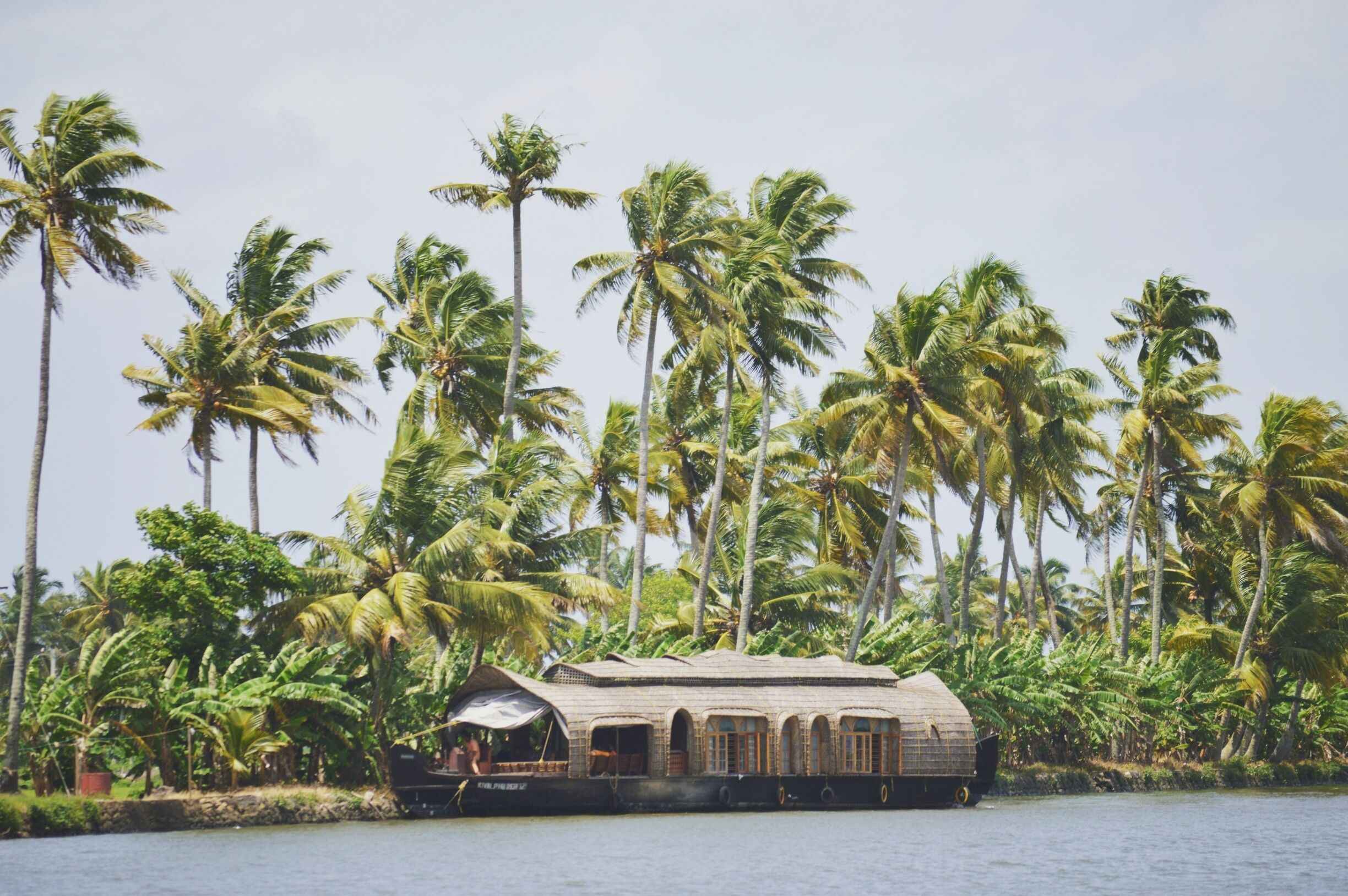 The lush greens are just mesmerizing
#AquaTrove