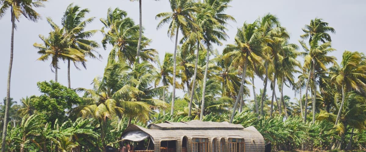 The lush greens are just mesmerizing
#AquaTrove