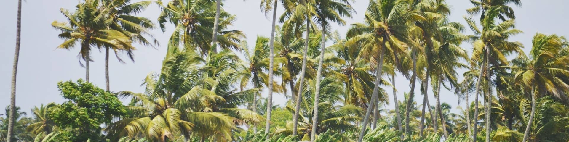 The lush greens are just mesmerizing
#AquaTrove