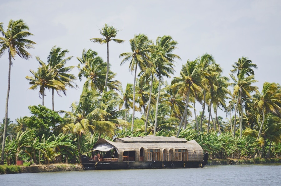 The lush greens are just mesmerizing
#AquaTrove