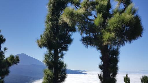 This is a photography of a Site of Community Importance in Spain with the ID: