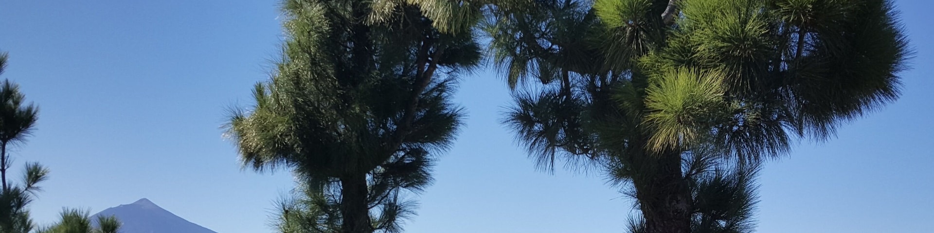 This is a photography of a Site of Community Importance in Spain with the ID: