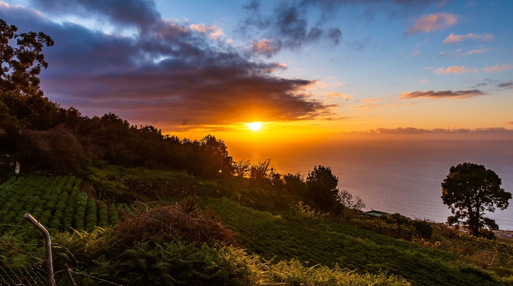 ์ฐํ ์ฐ๋ฅด์ ๋ผ