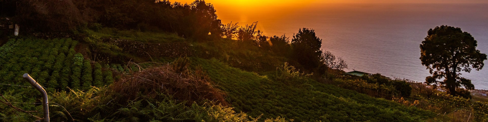 Atardecer en el Municipio de Santa Úrsula, isla de Tenerife.