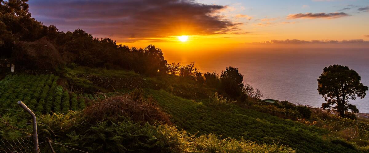 A sunset over a coastal landscape with dense greenery and a clear view of the ocean.