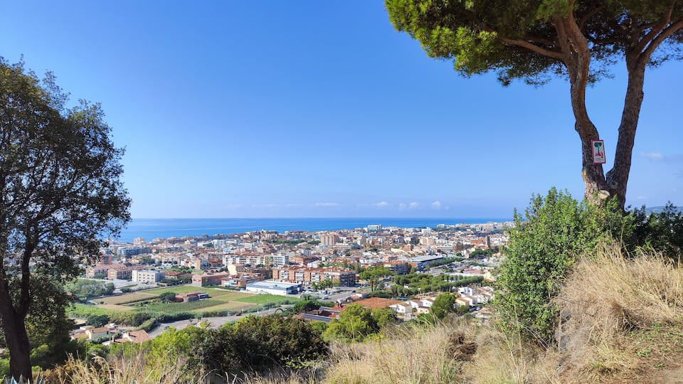 A coastal cityscape with a clear view of the sea, surrounded by greenery and trees.