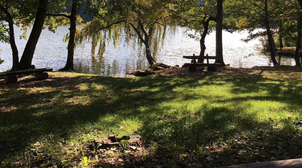 Foto scattata presso il laghetto di Origlio