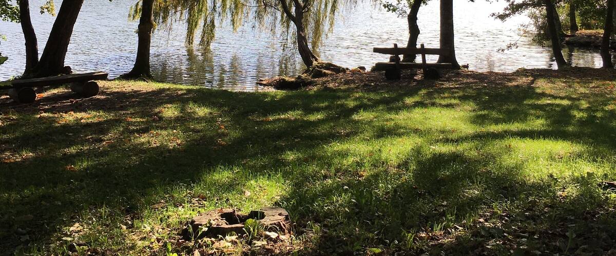 A lakeside park with trees, a bench, and a grassy area.