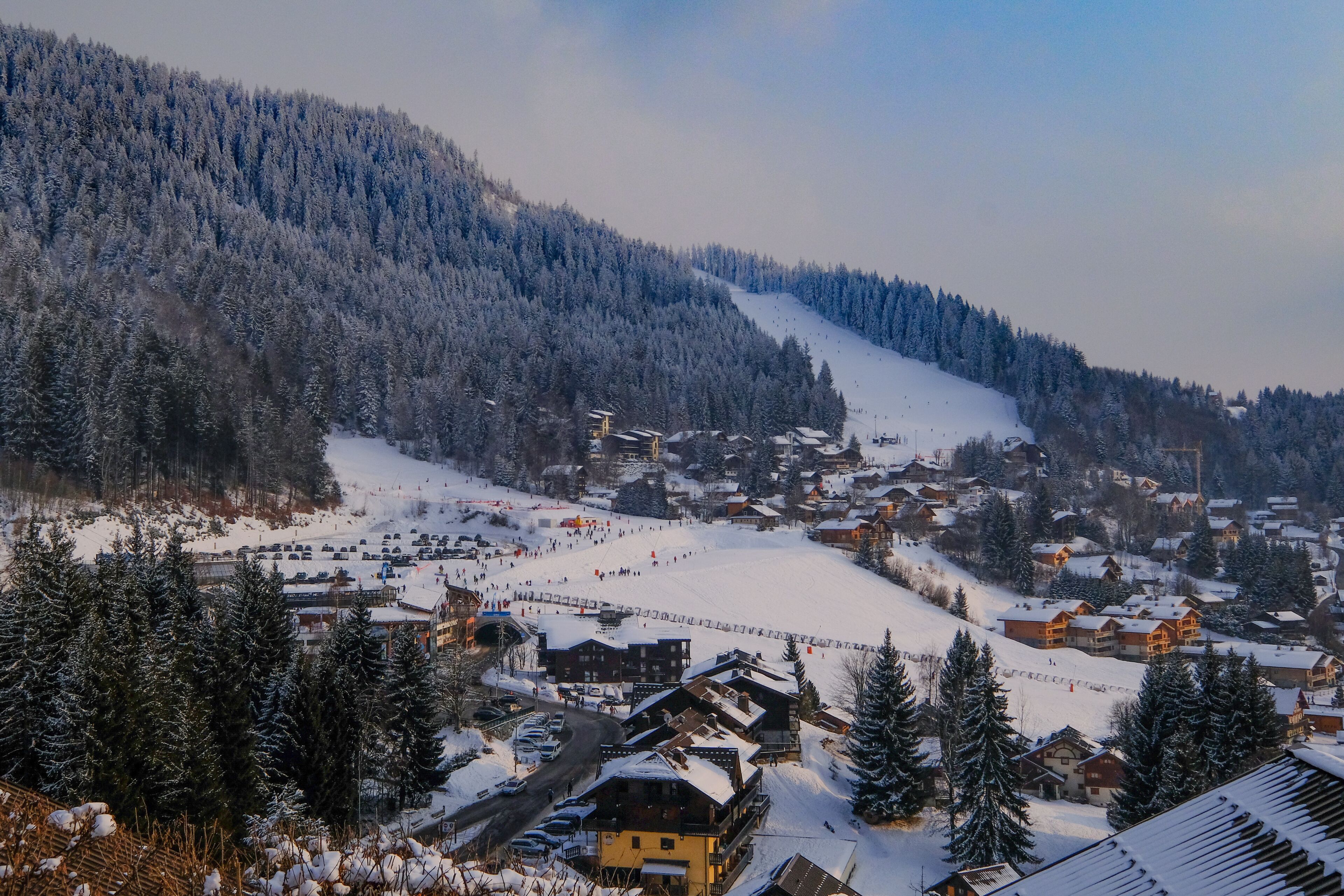 雷加霍斯达哈施