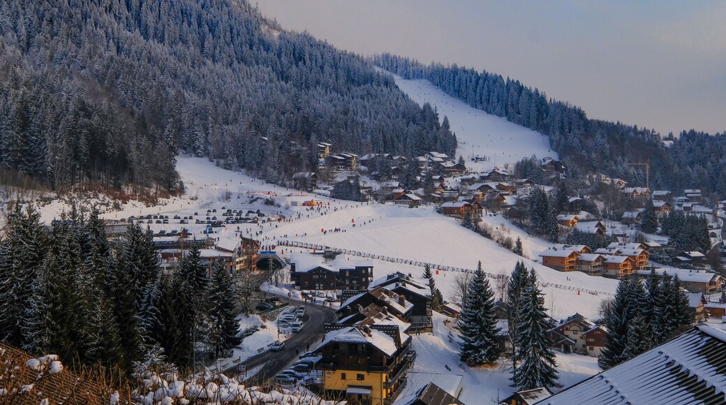 雷加霍斯达哈施