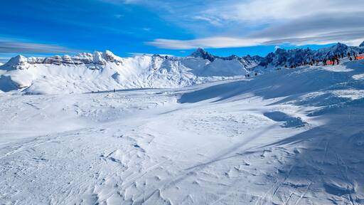 Morillon