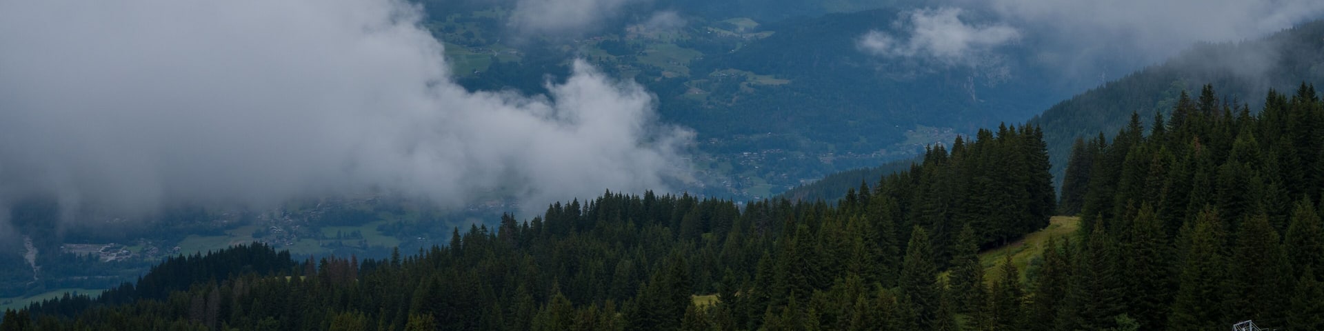 This landscape photo was taken in Europe, France, Auvergne-Rhone-Alpes, Haute-Savoie, Morillon, in summer. It shows the snowless ski slope in Morillon, under the Sun.