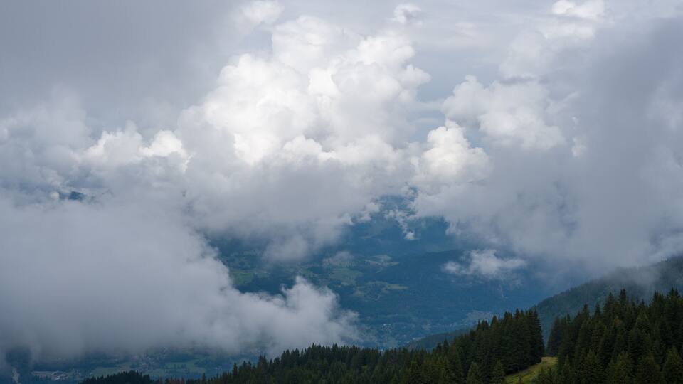 A mountainous landscape with dense forests and a valley below.