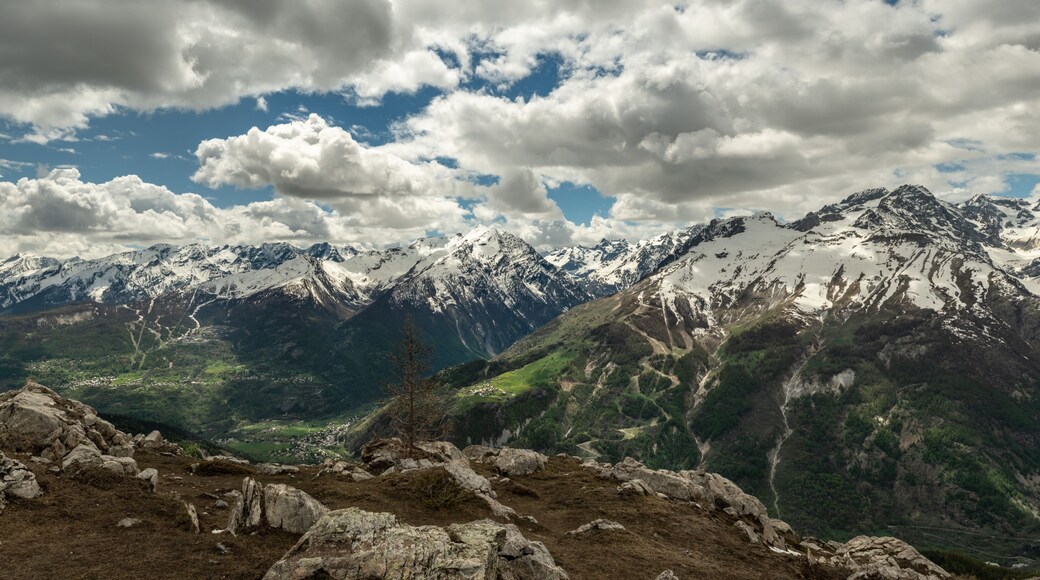 بوي سانت فينسينت