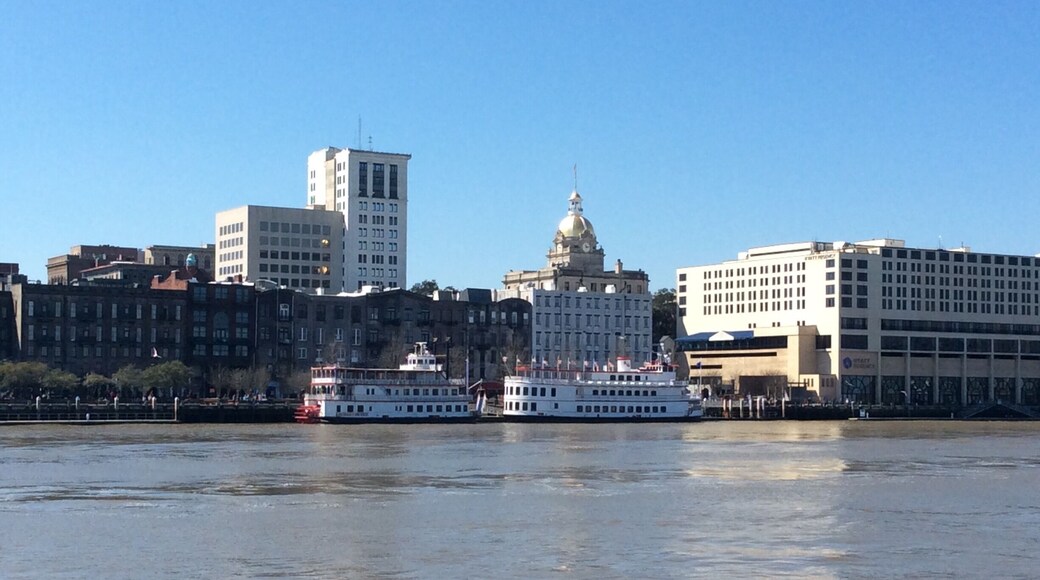 Beautiful Savannah Harbor