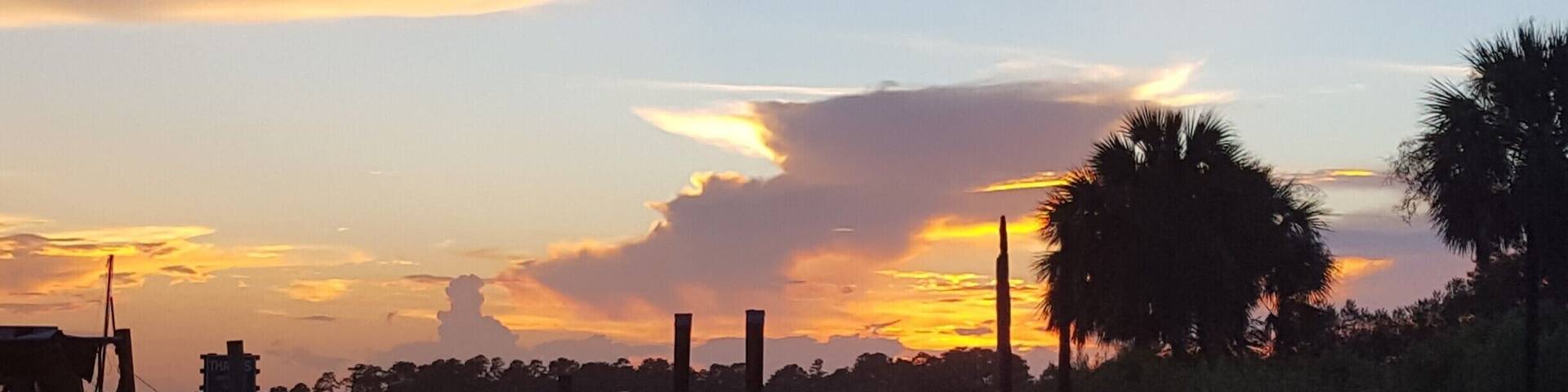 Breathtaking views just minutes away from the many places to eat and see in Savannah. Slow things down by taking in a sunset with breathtaking views and listen to the sounds of the water and the birds surrounding you. #UrbanJungle