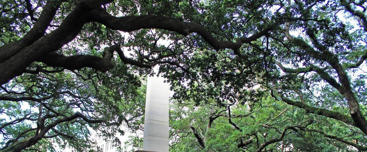 To me, the best part of Savannah are all of the massive old trees that create a canopy over the historic areas of the city. This is from my first visit there in 2013.