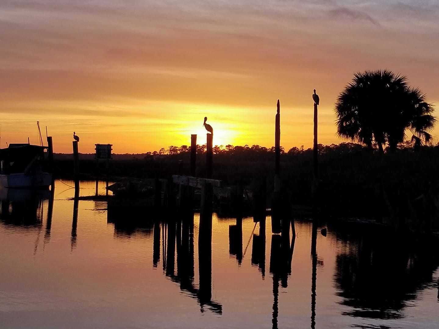 This was taken during the golden hour in Savannah, Georgia at Bell's Landing. Love the pelicans perching on the poles as if they knew I would be there!  So much beauty in this area! #Golden