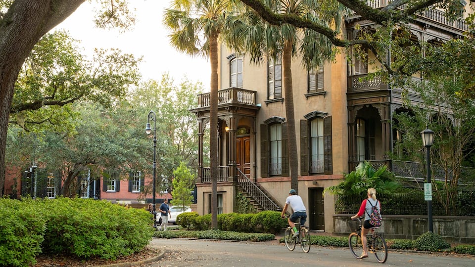 A historic building with ornate architecture, a tree-lined street, and cyclists.