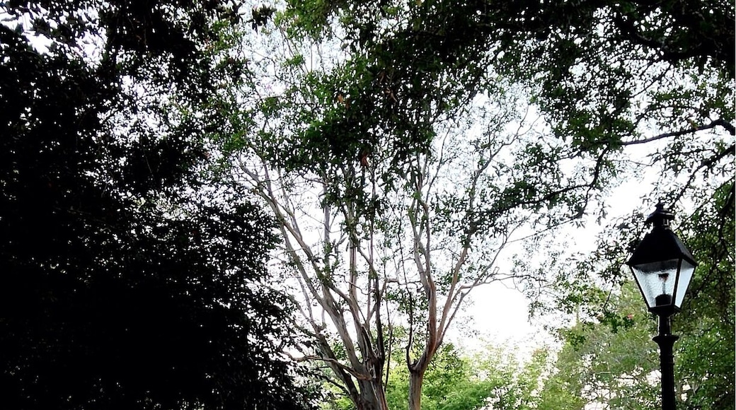 Built in 1790, Washington Square was named in 1791 for the first President of the United States, who visited Savannah in that year. Washington Square had been the site of the Trustees' Garden. Named for the trustees of Oglethorpe's colony the garden was the proving ground for a variety of experimental crops—including mulberry (for silkworms), hemp, and indigo—viewed as potential cash crops for the new colony. Most of these experiments proved unsuccessful. Washington Square is on Houston, between Bryan and Congress Streets. Washington Square was one of only two squares named to honor a then-living person; Troup Square was the other. Washington Square was once the site of massive New Year's Eve bonfires; these were discontinued in the 1950s.