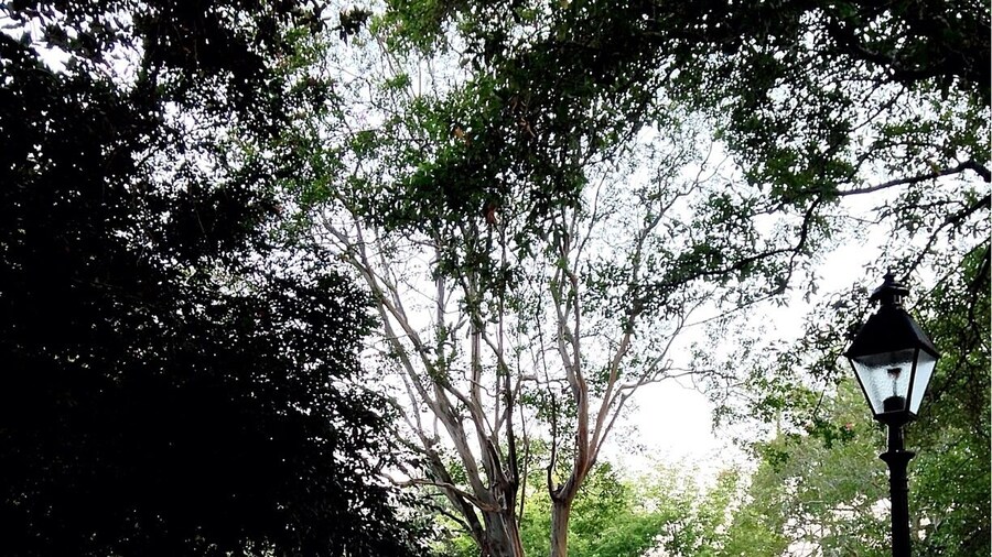 Built in 1790, Washington Square was named in 1791 for the first President of the United States, who visited Savannah in that year. Washington Square had been the site of the Trustees' Garden. Named for the trustees of Oglethorpe's colony the garden was the proving ground for a variety of experimental crops—including mulberry