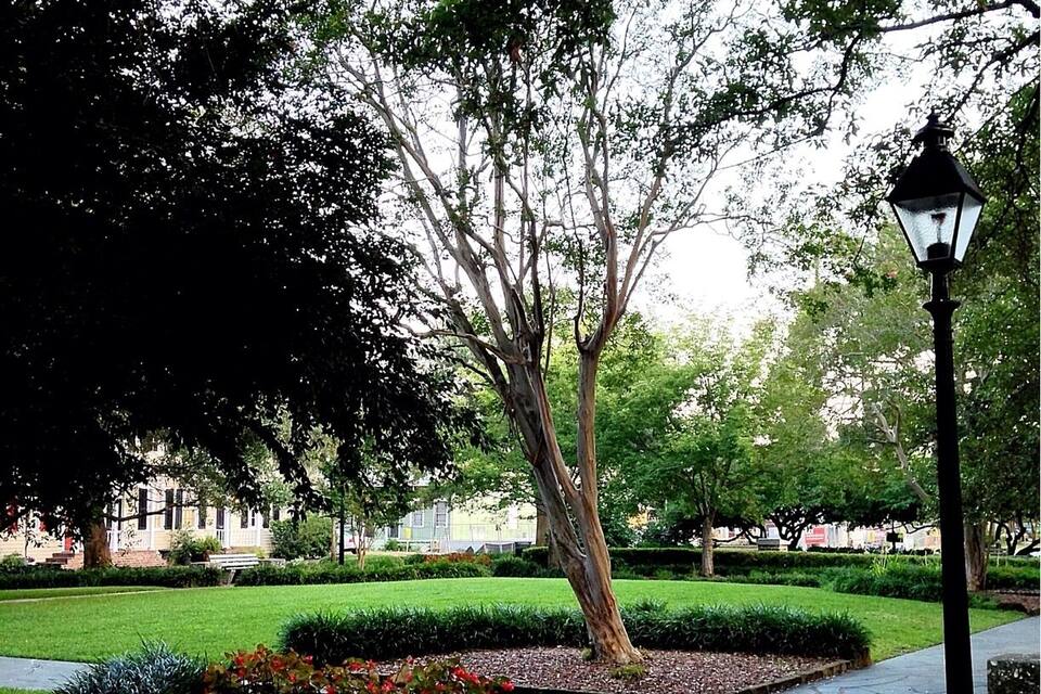 Un camí ombrejat per arbres amb un fanal i un edifici al fons.