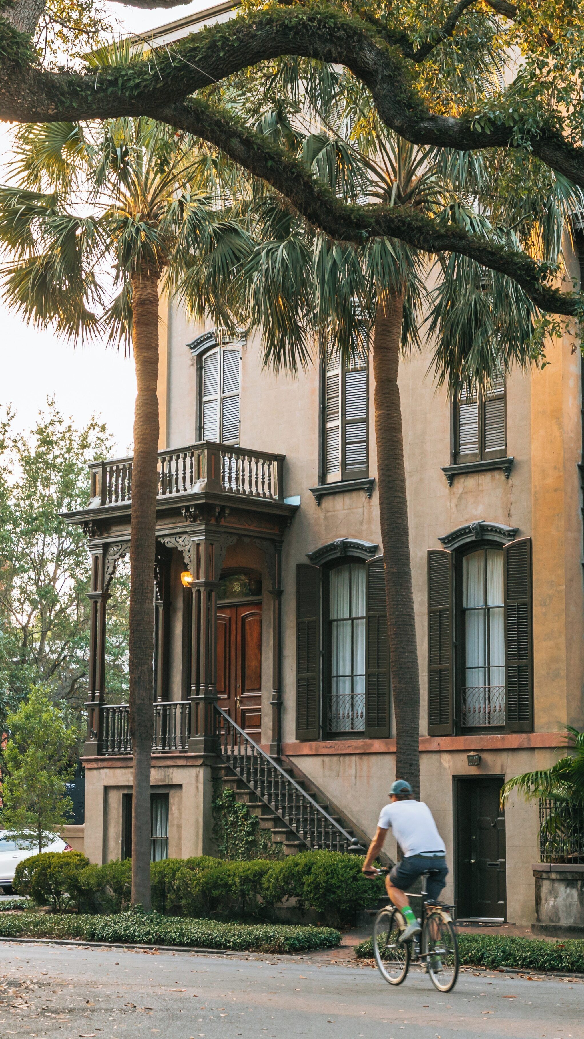 Historic Monterey Square in Savannah features palm trees and elegant architecture while cyclists enjoy the serene atmosphere during golden hour
