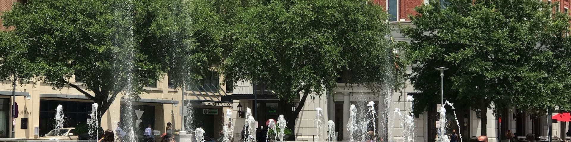 #TroveOnTuesday
Cooling off in Savannah in City Market.